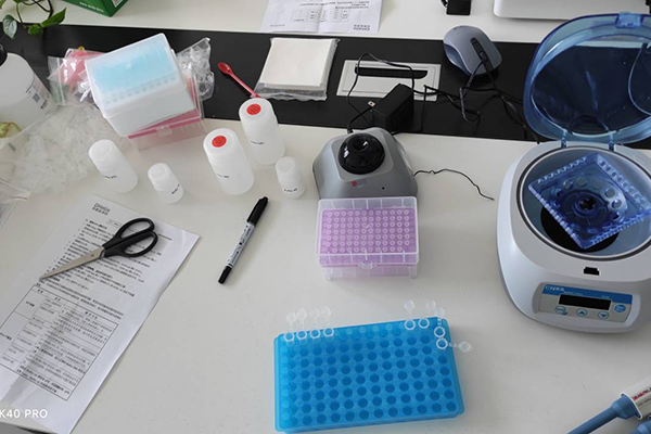 松材線(xiàn)蟲(chóng)檢測(cè)儀培訓(xùn)現(xiàn)場(chǎng)